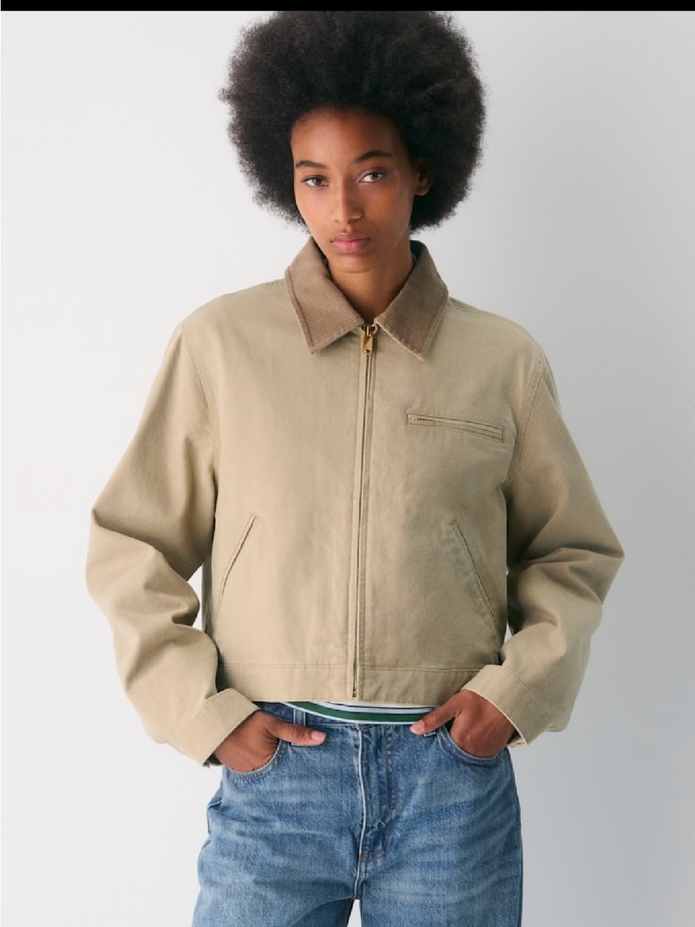 Aritzia Barkley Lightweight Workwear Jacket